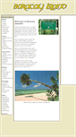 Mobile Screenshot of boracayonline.com
